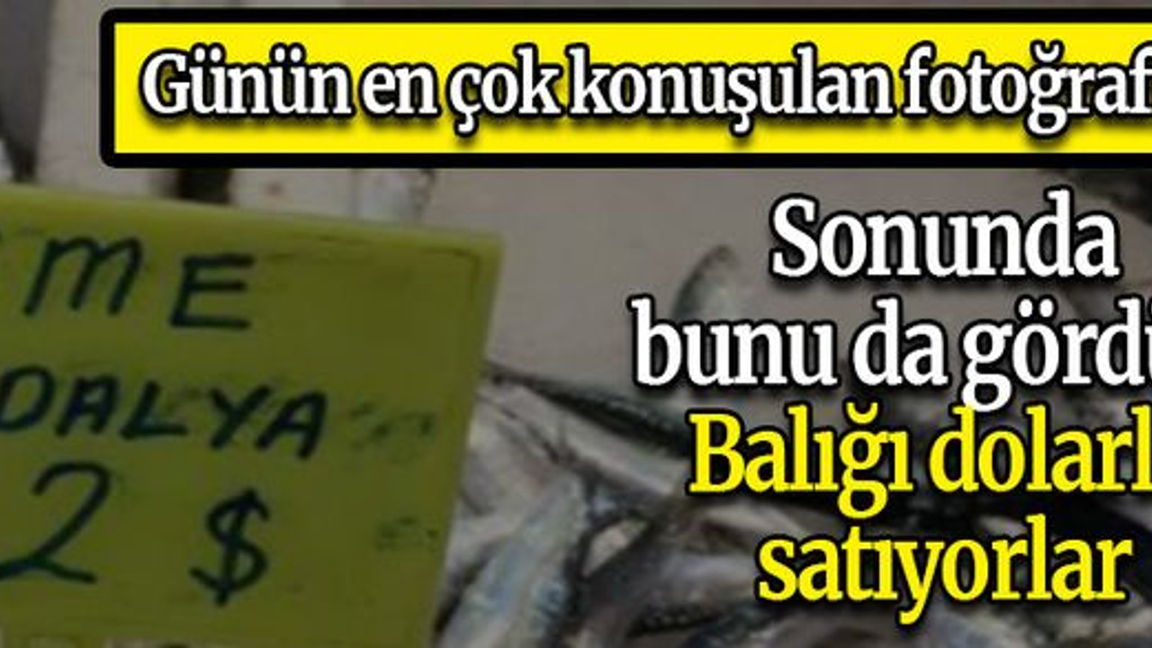 Sonunda bunu da gördük! Balığı dolarla satıyorlar
